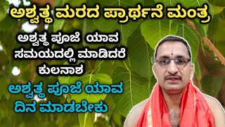 Ashwattha vruksha |ಅಶ್ವತ್ಥವೃಕ್ಷವನ್ನು ಪೂಜಿಸುವ ವಿಧಾನ |Vid. Mannur Ramachandrachra,#peepaltree, #trend