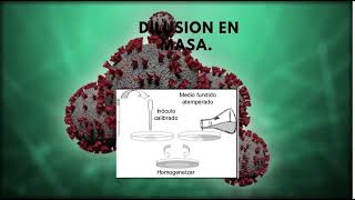 Aislamiento y Características de Microorganismos. (MariaGil_SayraRamirez).