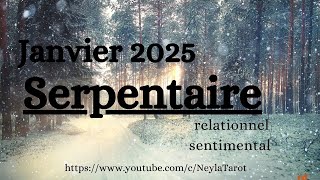 Serpentaire-Janvier 2025 -amour suspendu: la force face à la tempête-sentimental /relationnel