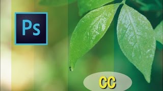 Photoshop CC 使い方講座 中巻 第3章「写真の修復」【動学.tv】