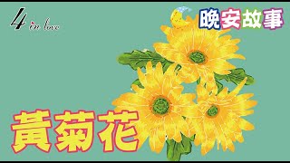 E媽說故事📖《黃菊花》睡前故事│晚安│寶寶故事│中文童話│床邊故事│兒童故事│寶貝故事