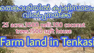 Ad No.22/ Tenkasi/25 acres/3500 Nelli/350 (Coconut/1500 Sq.ft House