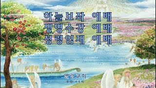 [엘림교회] 주일오후예배_알리야선포5월16일