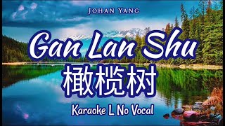 Gan Lan Shu 橄榄树 Karaoke L / R