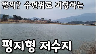 [남원]벌써? 수면위로 피딩하는 평지형 저수지 포인트