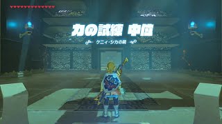 【61st】ケニィ・シカの祠【厳選八十祠】ゼルダの伝説 ブレス オブ ザ ワイルド　Ke'nai Shakah Shrine : Severe Select Shrine 80