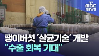 팽이버섯 '살균기술' 개발..\