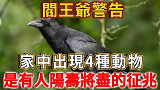 老僧說：家中一旦出現這4種動物，是閻王爺在警告，有人陽壽將盡！一定要警惕了丨禪語