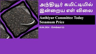 அந்தியூர் கமிட்டியில் இன்றைய எள் விலை | Anthiyur Committee Today Sesamum Price