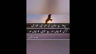 ALLAMA IQBAL SHAYRI|Allama Iqbal shaheen poetry| Allama Iqbal WhatsApp status|Allama Iqbal Shayri