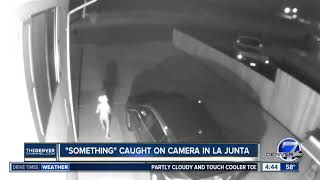 "Alien" caught on camera in La Junta