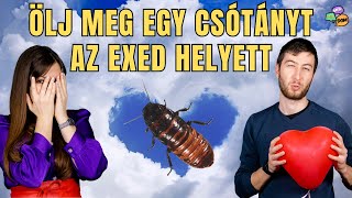 UNOD a hagyományost? Bizarr VALENTIN-NAPI ünneplések 🪳#204