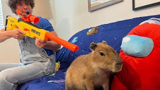 Why I Shot my Capybara (apology video)