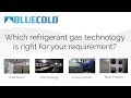 Which refrigerant is right | Freon or Ammonia | Blue Cold Refrigeration