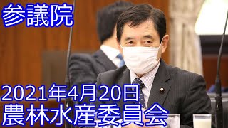 【山田修路 参議院議員】 農林水産委員会（2021年4月20日）