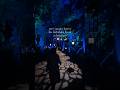 Vancouver Things to Do: Visit the Harry Potter Forbidden Forest #harrypotter #vancouver #yvr 🧙🌲 🪄