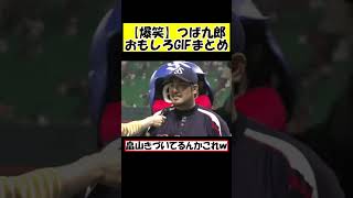 【爆笑】プロ野球おもしろGIFまとめ【つば九郎編】【 なんｊ反応集】