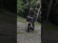 modified mt15 🫶🫠 trending bikelife mt15modification yamaha mt15love viralvideo shorts