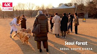 4K Seoul Forest Relax Walk in Winter | 겨울 날 서울 프리미엄 공원 서울 숲 동네 산책