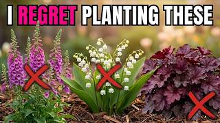 DON’T MAKE MY MISTAKE: 5 Perennials I REGRET Planting in 50 Years of Practical Gardening
