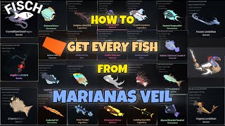 How to Get ALL Fish From MARIANAS VEIL in Roblox Fisch!