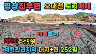 강원도 횡성부동산 평창군 진부면토지매매 [강원도 평창군 진부면부동산] #평창부동산