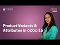 Product Variants and Attributes in Odoo 16 | Odoo 16 Functional Stories | Odoo 16 Tutorials