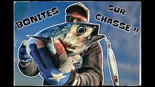 [BONITES SUR CHASSES] PARTIE#1