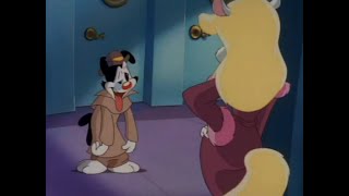 Animaniacs - The Warner Brothers meets Minerva Mink for the first time