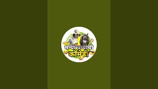 @मन्या_पप्याची कॉमेडी is live! नमस्कार सर्वांना या गप्पा मारायला 🚩🙏