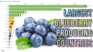 Largest blueberry producing countries