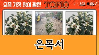 가장 많이 팔린 은목서 추천 Top10!