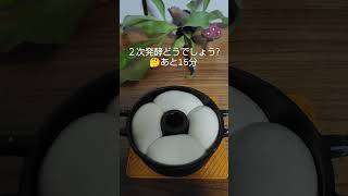 タミさんのパン焼器🍞パン作ってるの忘れてた…完成編😂#タミさんのパン焼器 #手作りパン #南部鉄器