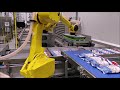 robertpack fanuc robot voor het handelen van zakken in de voedingsmiddelenindustrie