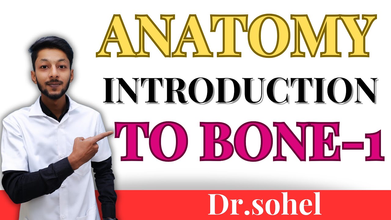 Basics Of Bone Part 1 Anatomy Youtube