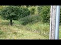 old crooked dam mill site near spier s and beith north ayrshire