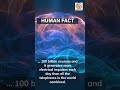 unleashing the power of the human brain discovering the secrets of 100 billion neurons humanfacts