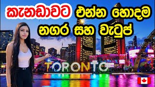 2021 කැනඩාවට අලුතින් එන්න හොඳම Cities | Best cities for immigrants in Canada 2021