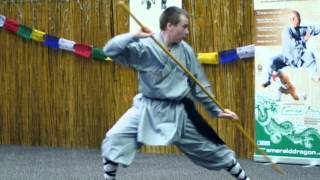 Shaolin Yin Shu Gun