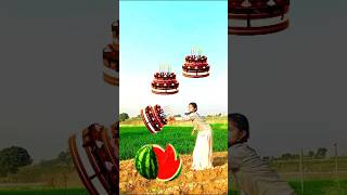 Rounding birthday cake to Grapes, Mango, lichi And Watermelon - Fruits names magic video