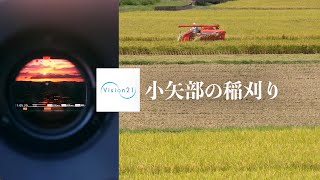 【富山の映像】稲刈り