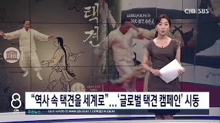 사이버 외교사절단 반크, 택견 세계화 앞장