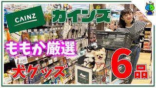 【カインズ】私が選んだ犬グッズ6品！これはオススメだワン🐶【ももかチャンネル】