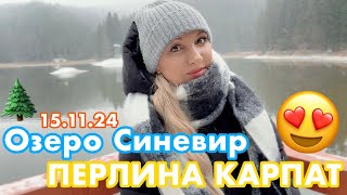 ОЗЕРО СИНЕВИР😍ПЕРЛИНА КАРПАТ🌲НАРЕШТІ МИ ДОБРАЛИСЯ🥰НЕЙМОВІРНО ГАРНО😊15.11.2024