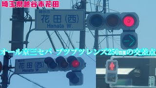 【信号機】埼玉県越谷市花田 オール京三セパブツブツレンズ250㎜の交差点