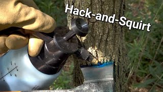 Hack-and-Squirt Black Locust Treatment