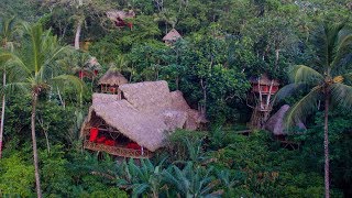 Here's An Insane Tree House Village in the Middle of a Dominican Jungle