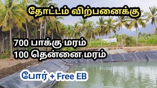 அருமையான தண்ணீர் வசதியுடன் கூடிய அழகிய பாக்கு தோட்டம் விற்பனைக்கு / Arecanut Farm Land For Sale