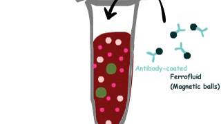 cellsearch method for CTC detection