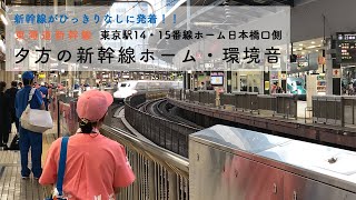 [環境音/作業用BGM]東京駅・東海道新幹線ホームの風景